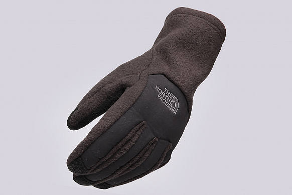 Женские перчатки The North Face Denali Etip Glove (T0A6M2JK3)