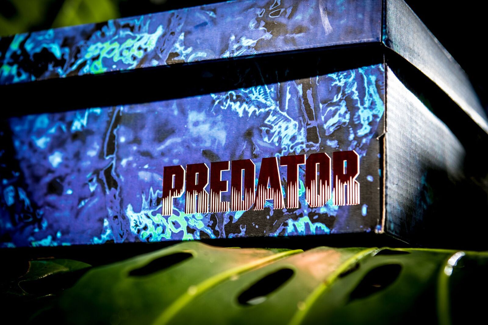 dmx run 10 x predator