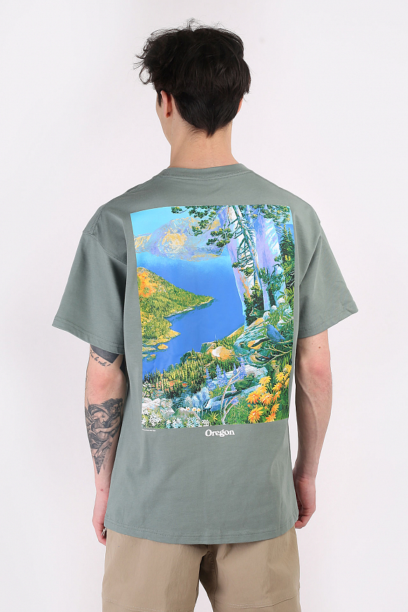 Мужская футболка Nike ACG Crater Lake T-Shirt (DA4877-365) - фото 4 картинки