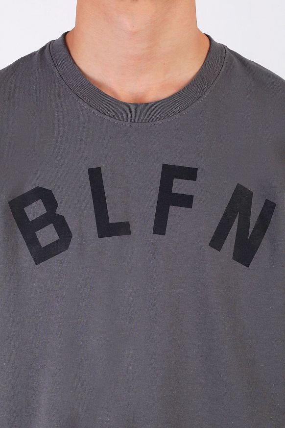 Мужская футболка BLFN LAB MINDSET (MINDSET-gray) - фото 2 картинки
