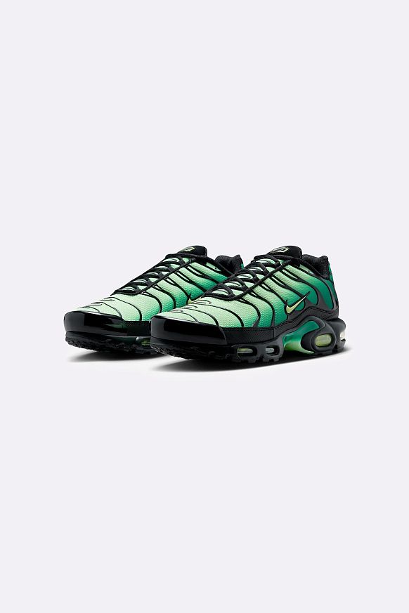 Мужские кроссовки Nike Air Max Plus (DM0032-301) - фото 2 картинки
