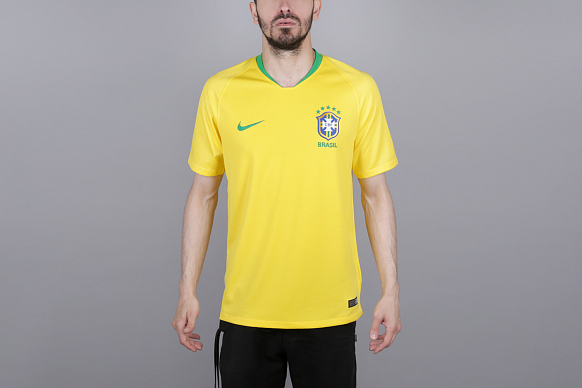 Мужская футболка Nike Brasil (893856-749)