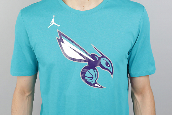 Мужская футболка Jordan Charlotte Hornets Dry Logo (870494-428) - фото 2 картинки