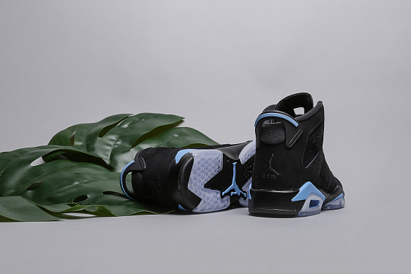 Женские кроссовки Jordan VI Retro BG (384665-006) - фото 6 картинки