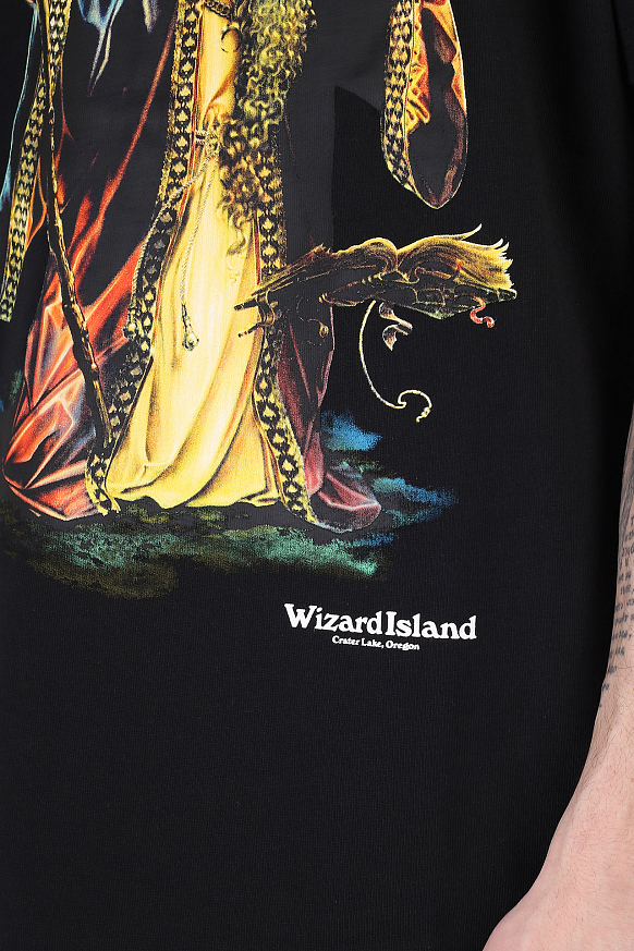 Мужская футболка Nike ACG Wizard T-Shirt (DA4859-010) - фото 2 картинки