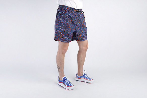 Мужские шорты Nike ACG Shorts (BQ3621-340)