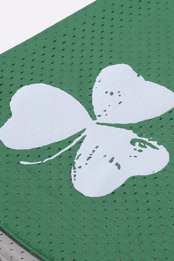 Мужские шорты Hard NBA Team Reversible Shorts (NBAteam33-green-grey) - фото 3 картинки