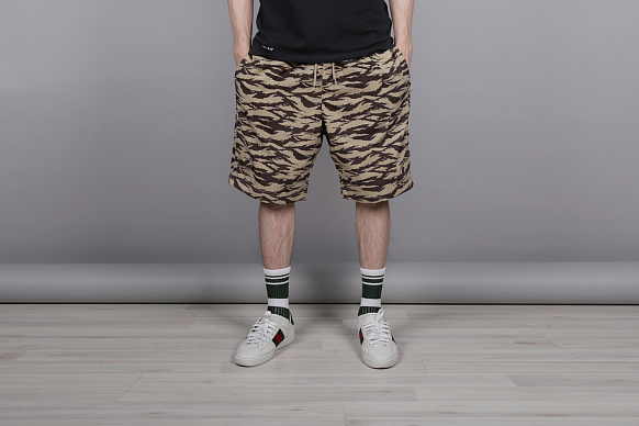 Мужские шорты Nike All Over Print (AO1116-235)