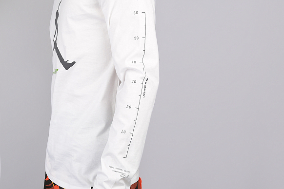 Мужской лонгслив Jordan Long Sleeve Top With Arm Print In White (AA3272-100)