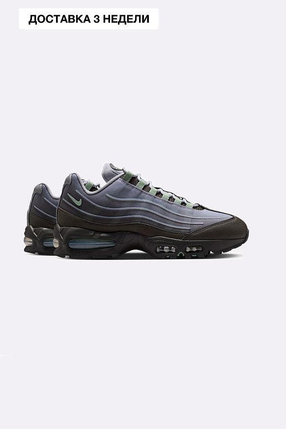 Мужские кроссовки Nike Air Max 95 Tech (IH7853-200)