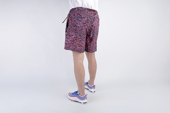 Мужские шорты Nike ACG Shorts (BQ3621-010) - фото 2 картинки