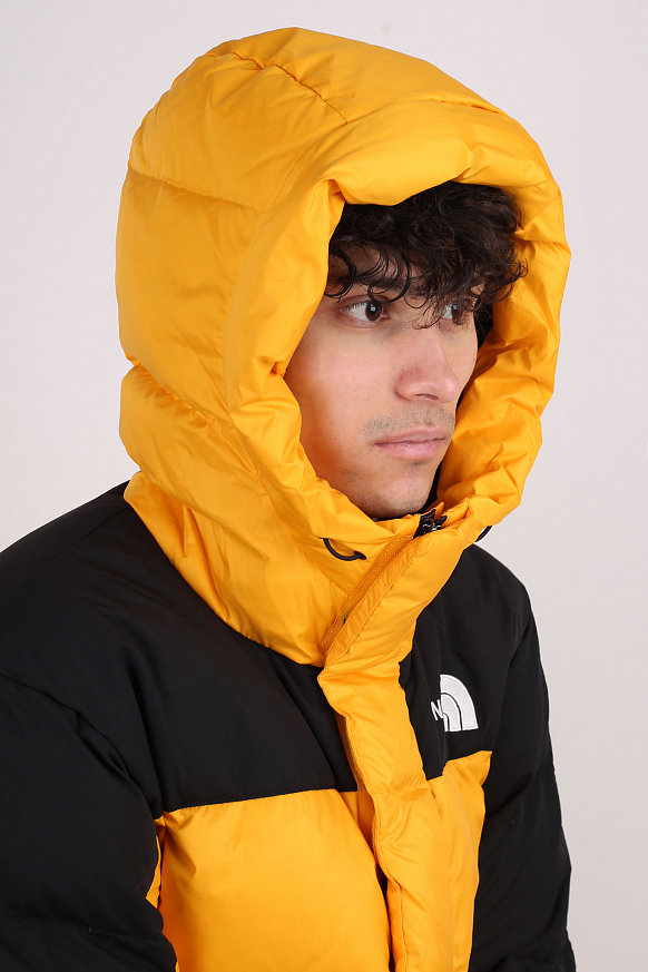 Мужская куртка The North Face HMLYN Down Parka (TA4QYX56P) - фото 5 картинки