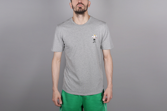 Мужская футболка Nike SB Pelican Tee (912350-063)