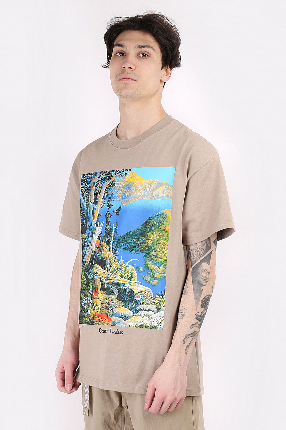 Мужская футболка Nike ACG Crater Lake T-Shirt (DA4877-247)