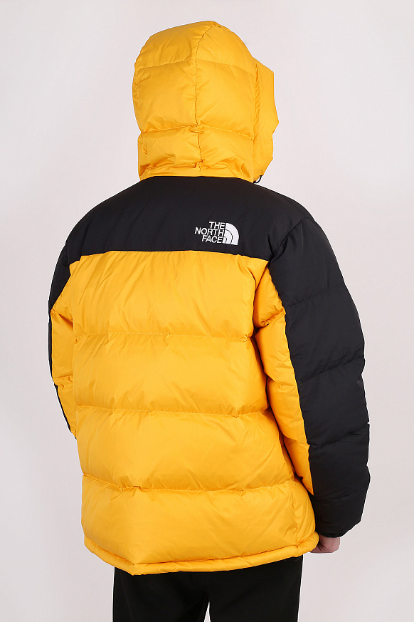 Мужская куртка The North Face HMLYN Down Parka (TA4QYX56P) - фото 9 картинки