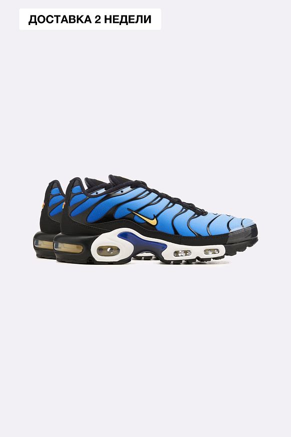 Мужские кроссовки Nike Air Max Plus (DX0755-001)