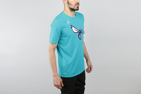 Мужская футболка Jordan Charlotte Hornets Dry Logo (870494-428) - фото 3 картинки