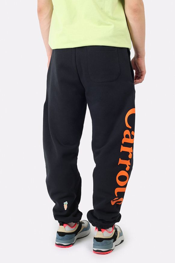 Мужские брюки DC SHOES Carrots Pants (ADYFB03060-KVJ0-KVJ0) - фото 4 картинки