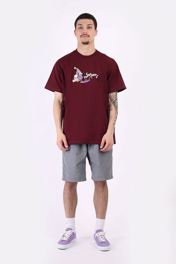 Мужская футболка Carhartt WIP S/S Kogancult Wizard T-Shirt (I029632-jam) - фото 6 картинки
