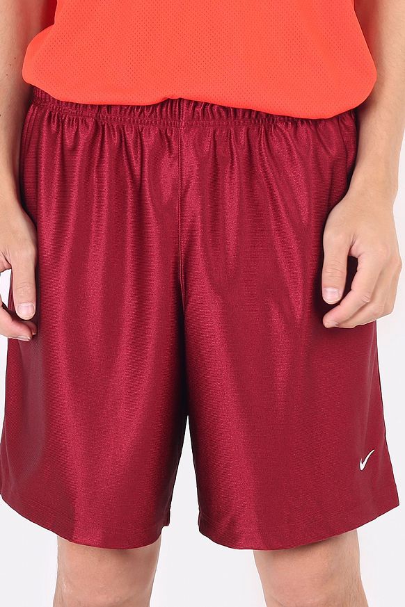 Мужские шорты Nike NRG SSNL Short (CD6390-677) - фото 2 картинки