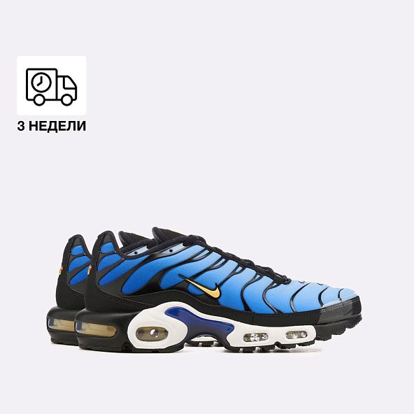 Кроссовки Nike Air Max Plus