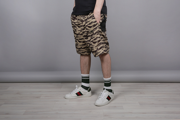 Мужские шорты Nike All Over Print (AO1116-235) - фото 2 картинки