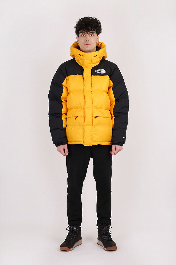 Мужская куртка The North Face HMLYN Down Parka (TA4QYX56P) - фото 10 картинки