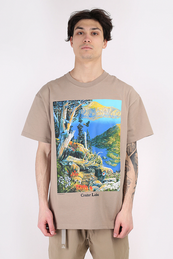 Мужская футболка Nike ACG Crater Lake T-Shirt (DA4877-247) - фото 3 картинки