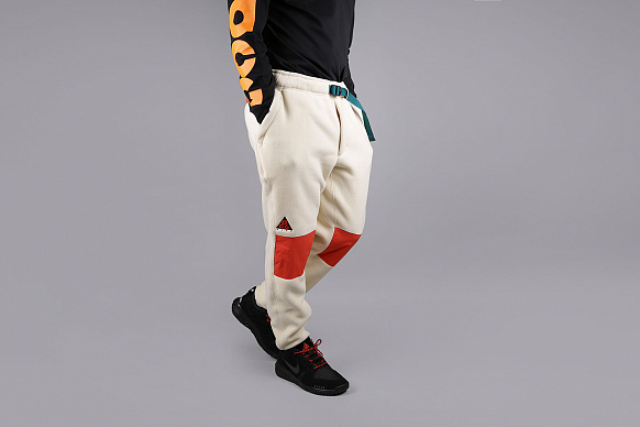 Мужские брюки Nike ACG Men's Sherpa Fleece Trousers (AJ2014-258)