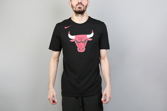 Мужская футболка Nike NBA Chicago Bulls Dry Logo (870496-010)