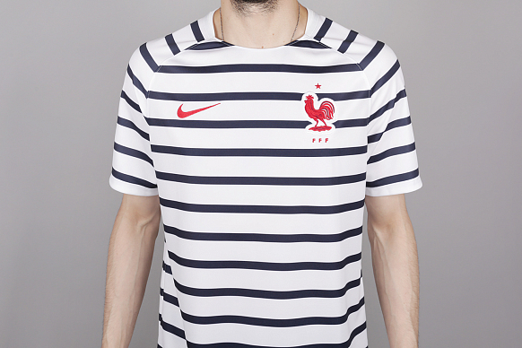 Мужская футболка Nike France (893358-100) - фото 2 картинки