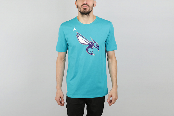 Мужская футболка Jordan Charlotte Hornets Dry Logo (870494-428)