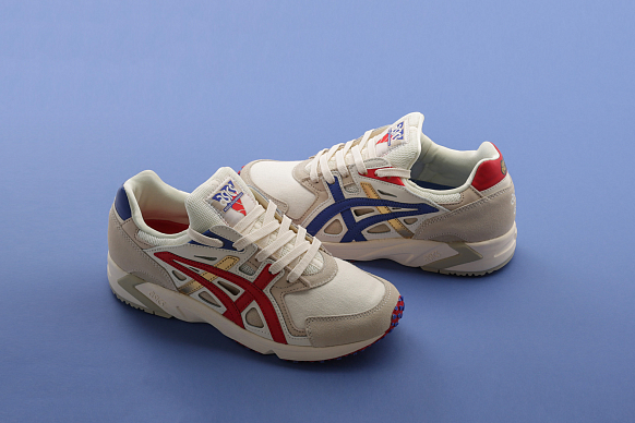 Мужские кроссовки ASICS Gel-DS Trainer OG (1191A263-100)