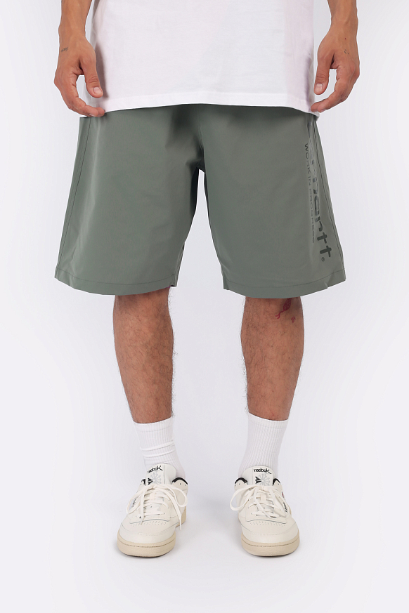Мужские шорты Carhartt WIP Brame Swim Trunks (I032987-park/chervil) - фото 2 картинки