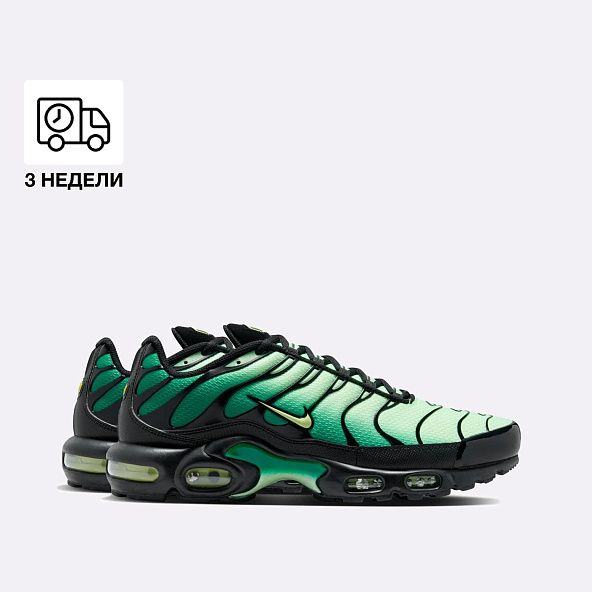 Кроссовки Nike Air Max Plus