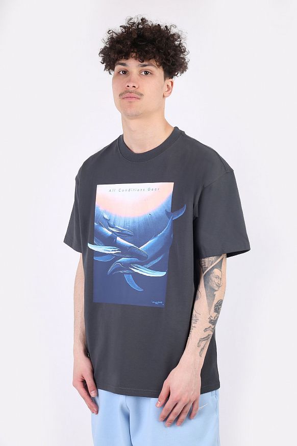 Мужская футболка Nike ACG Wyland T-shirt (DC5358-070)