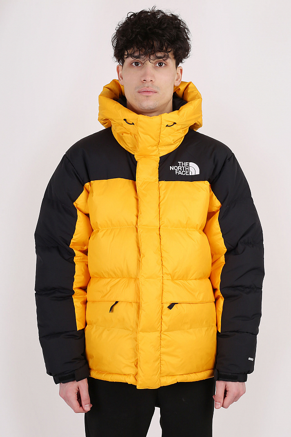 Мужская куртка The North Face HMLYN Down Parka (TA4QYX56P) - фото 3 картинки