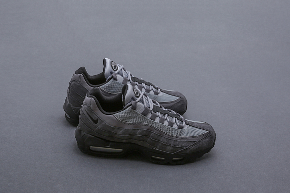 Мужские кроссовки Nike Air Max 95 Essential (AT9865-008)