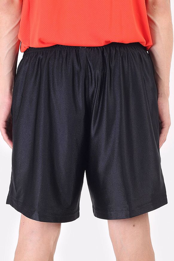Мужские шорты Nike NRG SSNL Short (CD6390-010) - фото 4 картинки