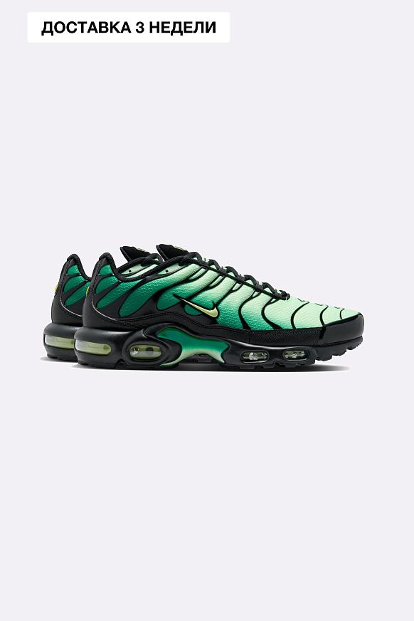 Мужские кроссовки Nike Air Max Plus (DM0032-301)