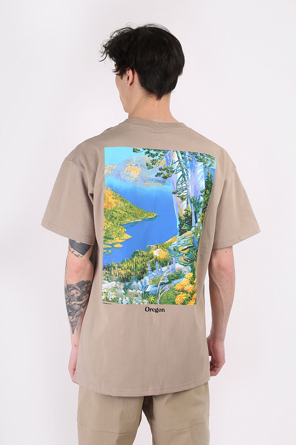 Мужская футболка Nike ACG Crater Lake T-Shirt (DA4877-247) - фото 4 картинки