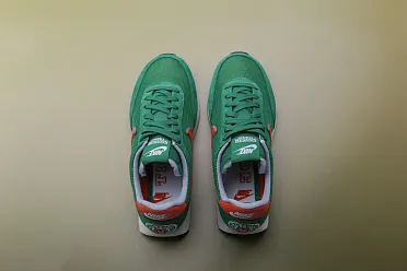 Nike Air Tailwind QS HH CJ6108 300 Sneakerhead